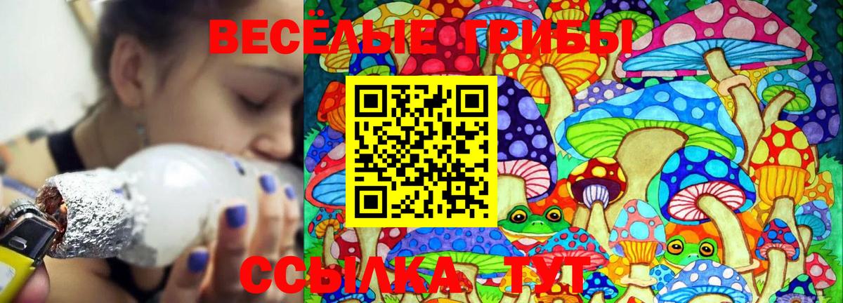 Галлюциногенные грибы Psilocybe  Галлюциногенные грибы MAGIC MUSHROOMS  Вход с VPN  Ангарск 